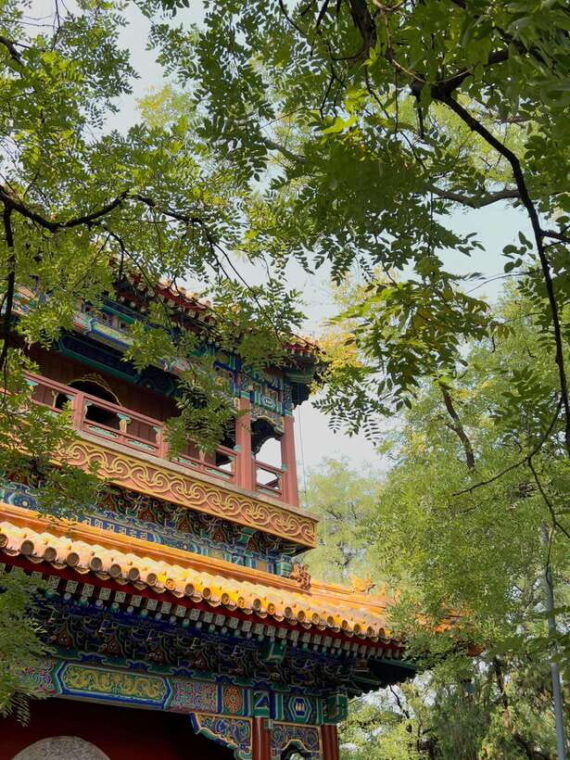 beijing-feng-shui-hutongs-tour