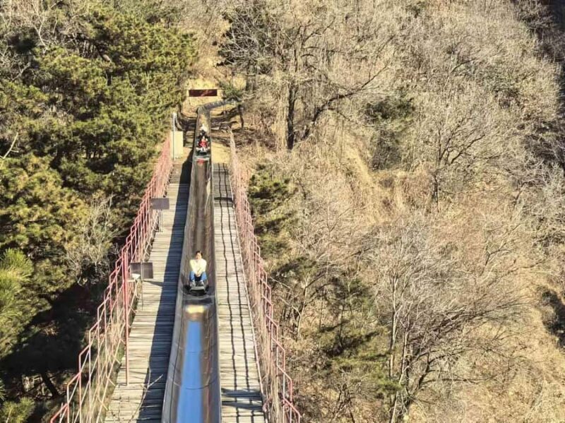 Beijing: Forbidden City and Great Wall Tour - Practical Tips and Considerations