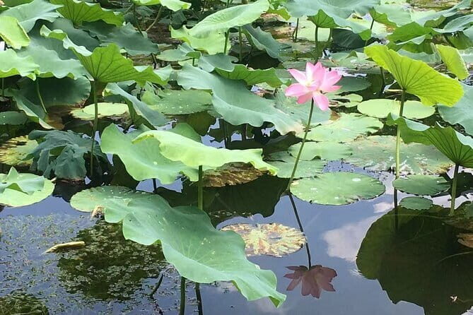 Beijing Forbidden City and Summer Palace Private Guide Tour - FAQ