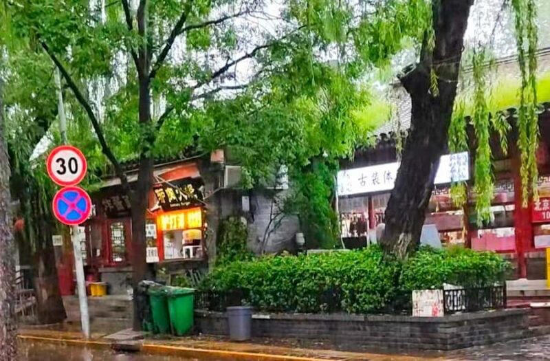 Beijing: Forbidden City, Hutongs, and Dumpling Tour - Who Is This Tour Best For?