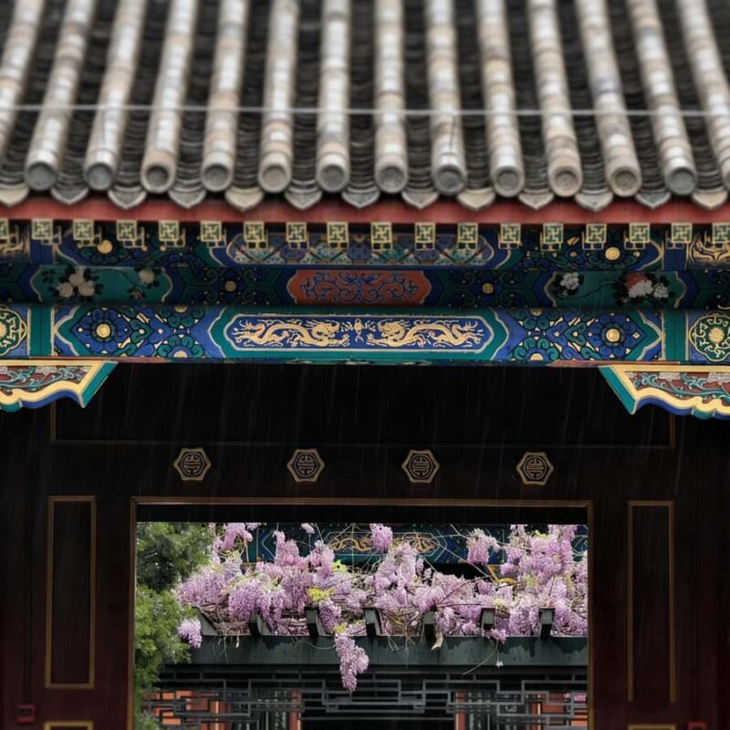 Beijing: Gongwangfu, Shichahai & Hutong Private Tour - Introduction to the Tour Experience