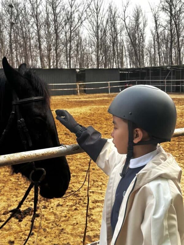 Beijing: Horseback Riding Experience with Dinner - Detailed Breakdown of the Itinerary