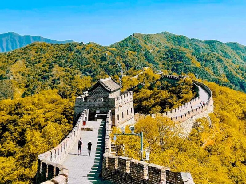 Beijing: Mutianyu Great Wall and Bird's Nest Tour - Why Choose This Tour?