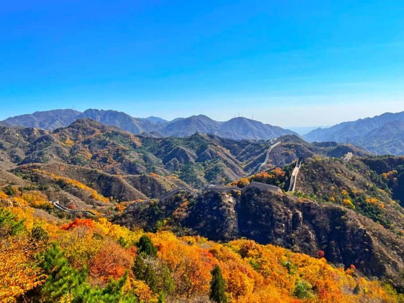 Beijing: Mutianyu Great Wall and Bird's Nest Tour - The Sum Up
