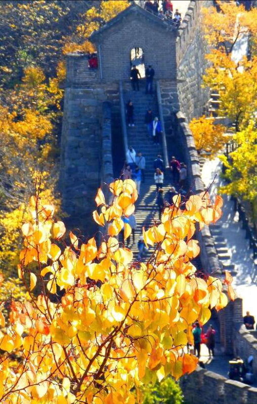 beijing-mutianyu-great-wall-bus-tour-with-ticket-cable-car