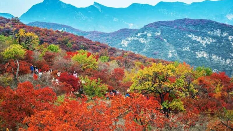 Beijing: Mutianyu Great Wall VIP Private Tour with Hot Pot - Introduction: A Unique Spin on Visiting the Great Wall