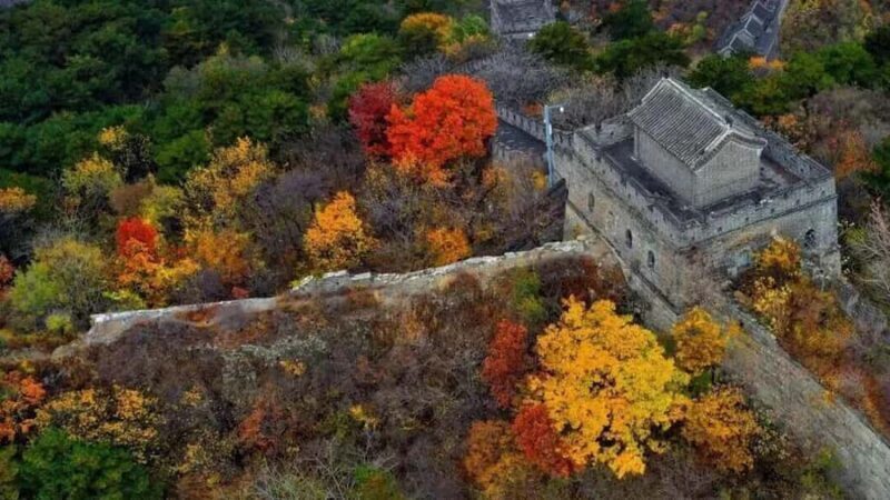 Beijing: Mutianyu Great Wall VIP Private Tour with Hot Pot - Why This Tour Offers Excellent Value