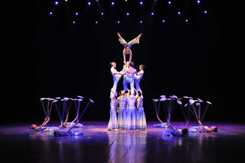 beijing-night-tour-of-acrobatics-show-including-transfer