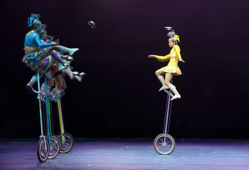 beijing-night-tour-with-acrobatics-show-pekingduck-dinner