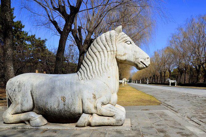 Beijing Private Day Tour to Ming Tombs - Discovering the Ming Tombs: An In-Depth Look