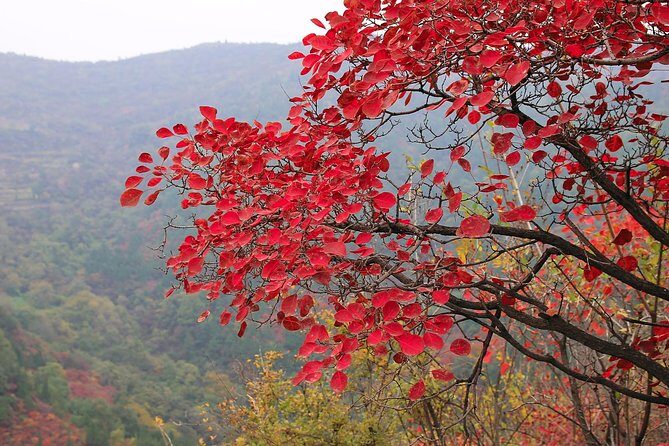 Beijing Private Tour to Summer Palace and Fragrant Hill with Cable Car Ride - Key Points