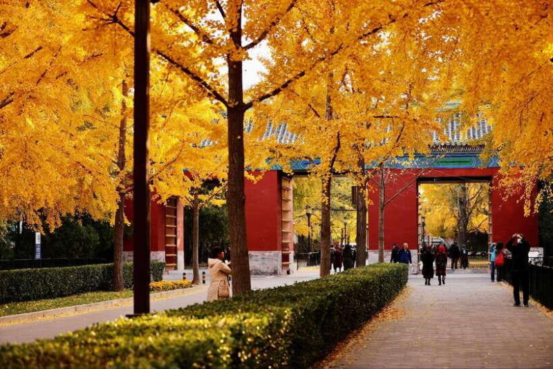 beijing-temple-of-earth-ticket-serene-majestic-ancient