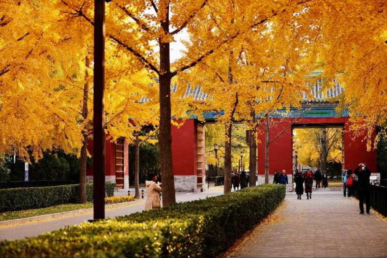 beijing-temple-of-earth-ticket-serene-majestic-ancient