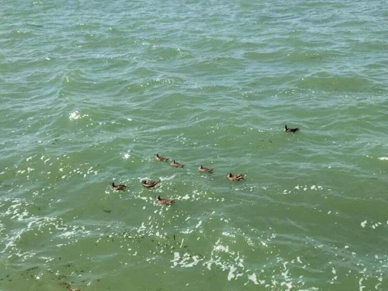 Beijing: Temple of Heaven, Summer Palace & Cooking Class - Key Points