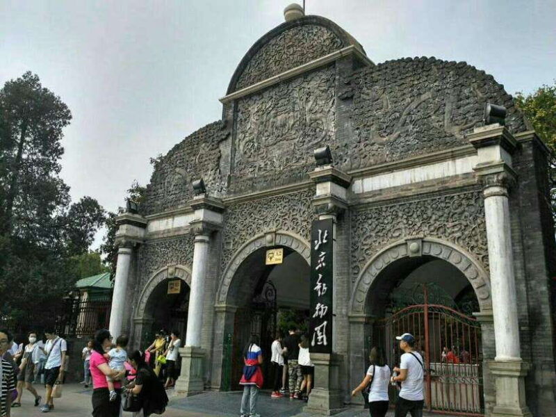 beijing-the-beijing-zoo-entry-ticket-included-pandas