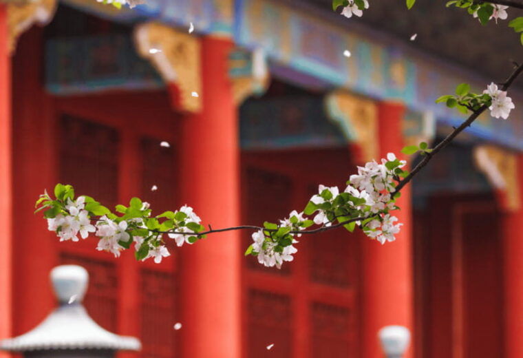 beijing-tiananmen-square-and-forbidden-city-entry-tickets