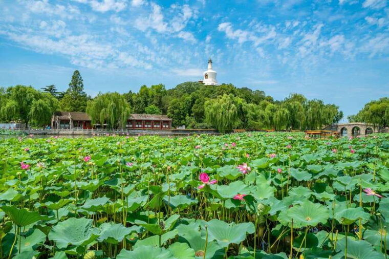 beijing-tiananmen-square-forbidden-city-guided-tour