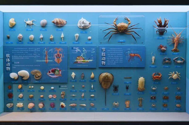 Beijing: Ultimate Cultural TourTemple, Museum & Old Street - Exploring Beijing’s Most Notable Sites