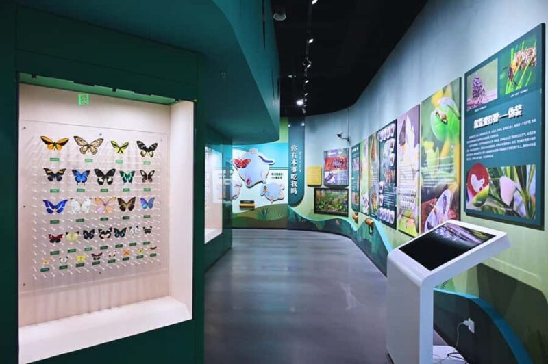 Beijing: Ultimate Cultural TourTemple, Museum & Old Street - FAQ