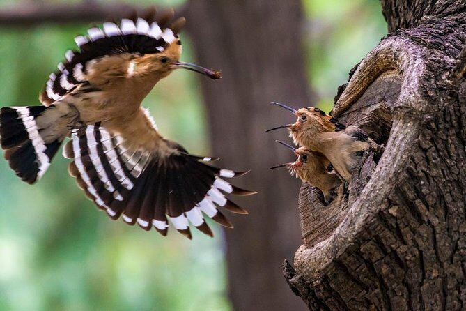 Beijing Walking Tour: Temple of Heaven and Hongqiao Market - Final thoughts