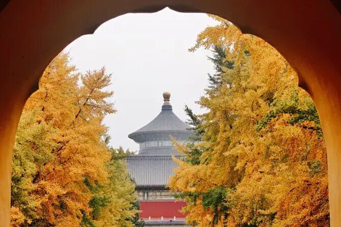 Beijing Walking Tour the Temple of Heaven - Authentic Insights from Past Travelers