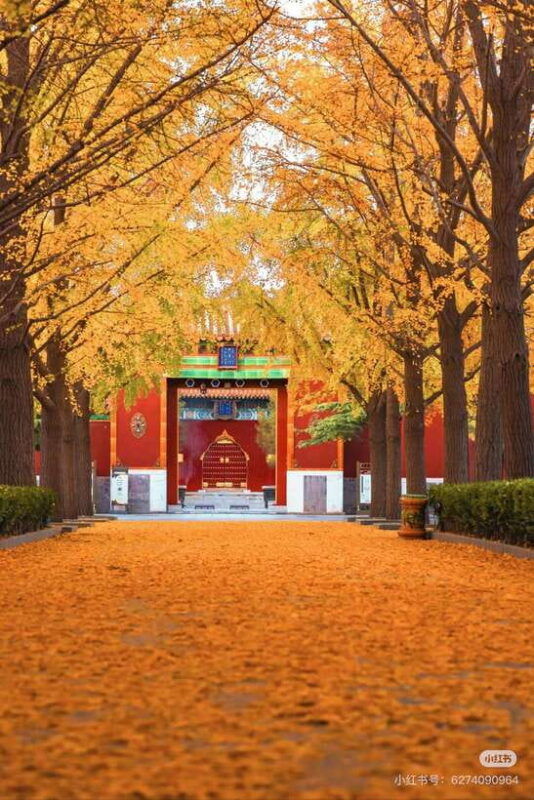 beijing-yonghegong-lama-temple-with-entry-tickets