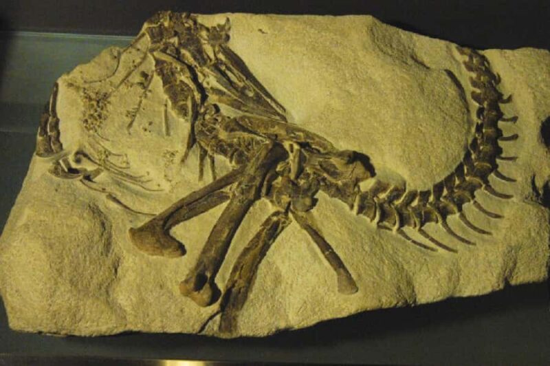 BeijingHutong Museum Cluster TourCulture, Temples & Life - Final Thoughts