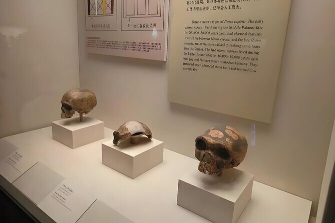 BeijingNational Museum of China ticket - Authentic Traveler Insights