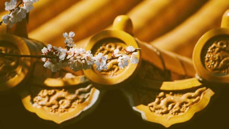 beijingPrivate guided tour of the Forbidden City and parks - The Experience in Detail