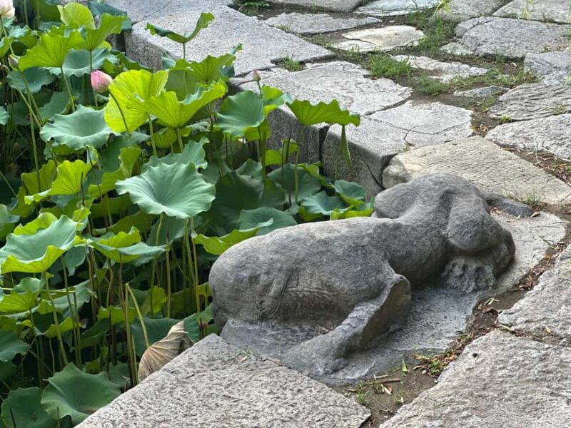 Beijings Hidden Waterways: Walking Tour with Dinner - Who Will Love This Tour?