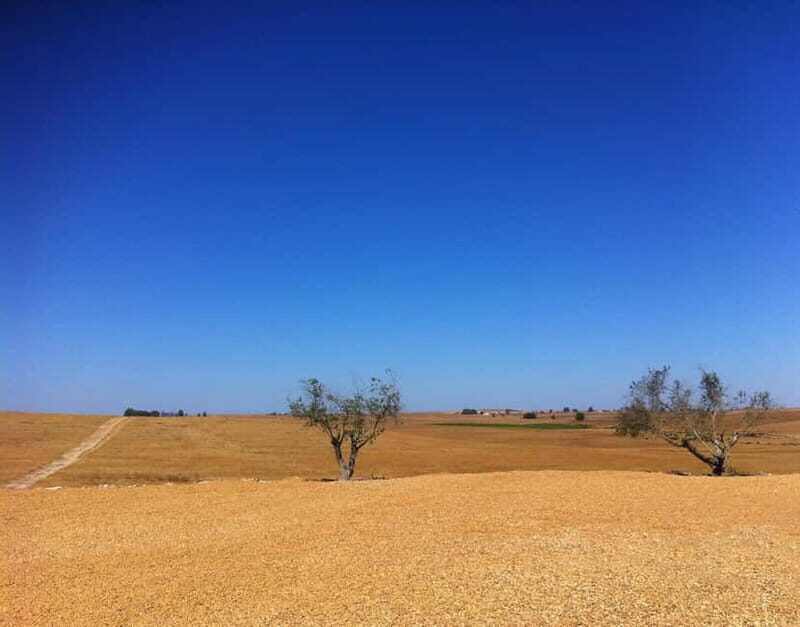 Beja private guided city tour - Architectural and Cultural Gems