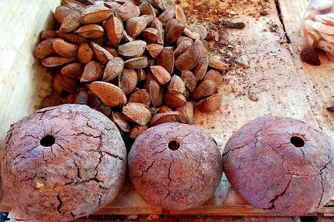 belem-marajo-island-private-multi-day-tour