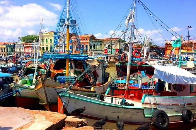 belem-marajo-island-private-multi-day-tour