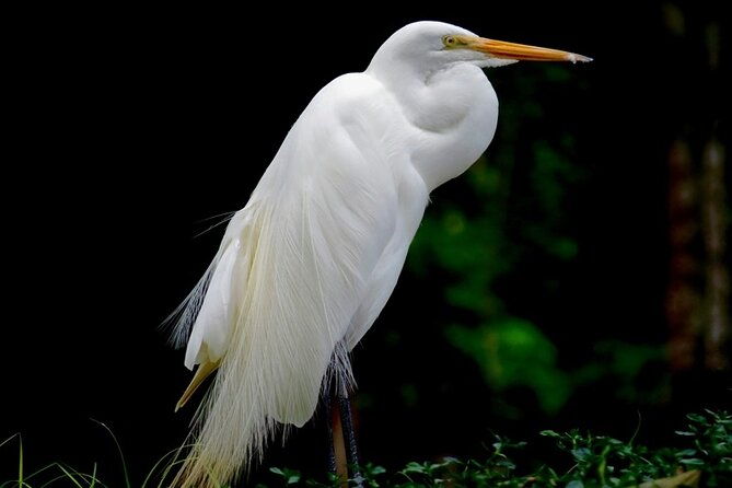 belem-marajo-island-private-multi-day-tour