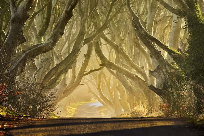 Belfast: Game of Thrones - Iron Islands & Giant's Causeway - FAQ