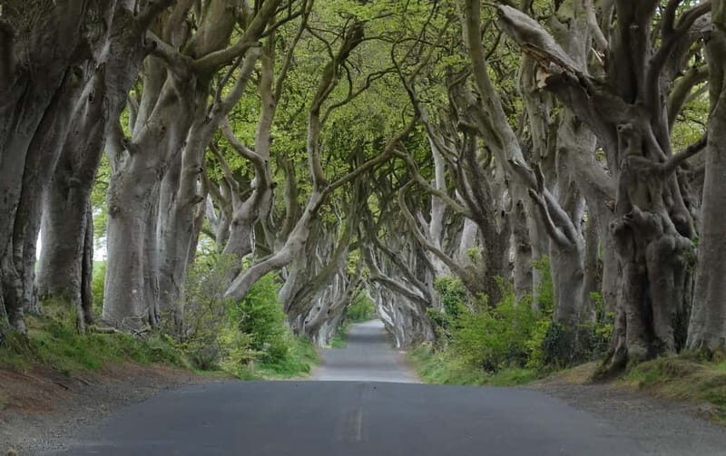 Belfast: Giant's Causeway Tour and 2-Day Open Top-Bus Tour - Practical Tips for Travelers