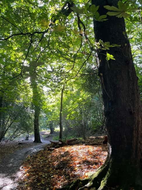 Belfast: Sir Thomas & Lady Dixon Park Walk & Alfresco Picnic - Final Thoughts: Is This Tour Right for You?