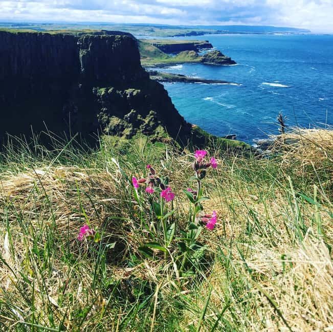 Belfast:Giant's Causeway private tour with accreditted guide - Passing Portrush & Belfast Highlights