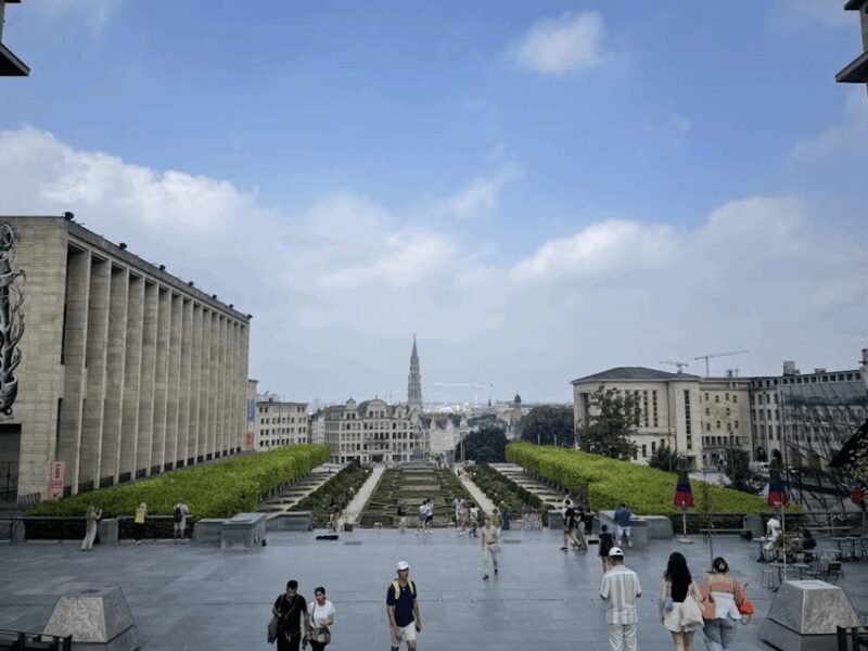Belgium: Discover the best of Brussels on our guided tour - Why Choose This Tour?
