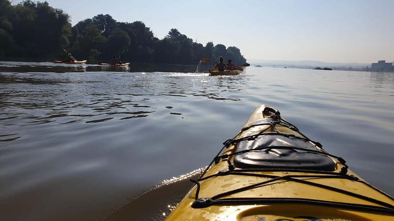 Belgrade: Great War Island Kayak Adventure - Final Thoughts: Is This Tour for You?