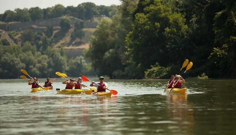 Belgrade: Great War Island Kayak Adventure - Who Should Consider This Tour?