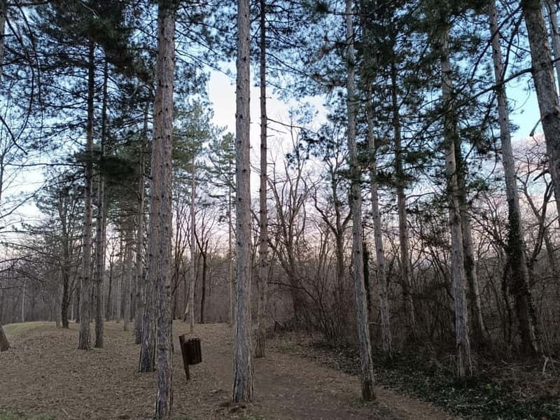 Belgrade: Kosutnjak forest hiking tour - Exploring Belgrade’s Hidden Natural Gem: The Kosutnjak Forest Hiking Tour