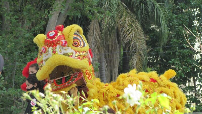 belgrano-tour-chinatown-and-upper-classs
