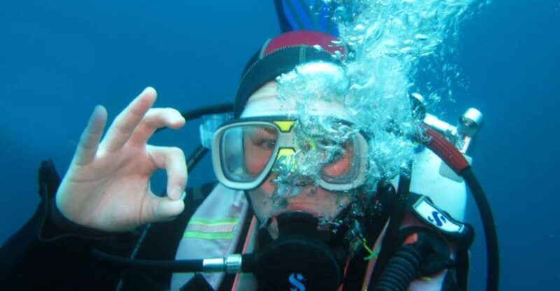 beli-discovery-dive