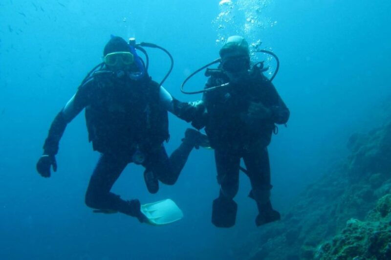 beli-discovery-dive
