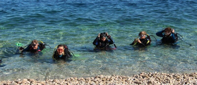 beli-discovery-dive