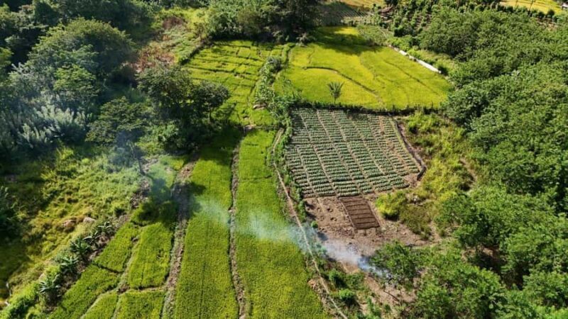 Belihuloya: 3-Night Hiking Tour with Kayaking & Transfers - The Details of the 4-Day Journey