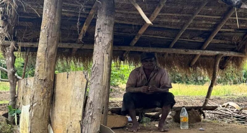 Belihuloya: Ihala Galagama Village Trail Guided Hike - Exploring the Ihala Galagama Village Trail