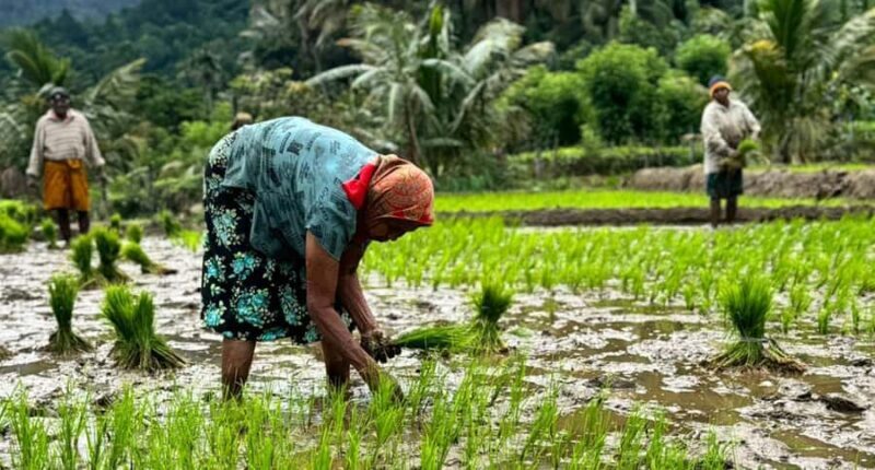 Belihuloya Trails Stage 1 : 3-Day Tour with Drop off at Ella - Final Thoughts: Is This Tour for You?