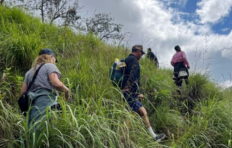 Belihuloya: Upper-Bambarakanda Camping Trail - The Ultimate Guide to the Belihuloya: Upper-Bambarakanda Camping Trail